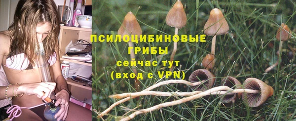 a pvp Алзамай