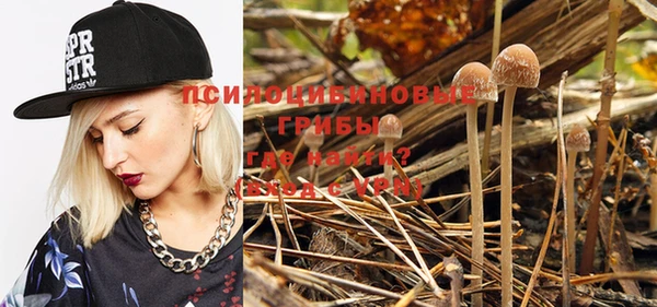 таблы Алексеевка