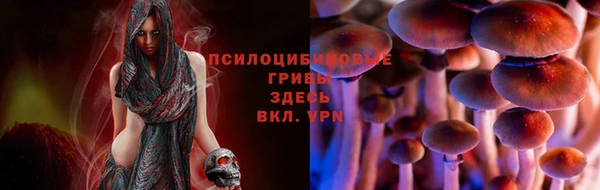 СК Алексин