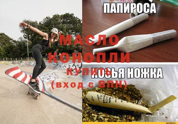 СК Алексин