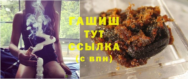 СК Алексин