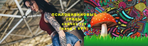 СК Алексин