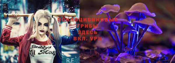 СК Алексин