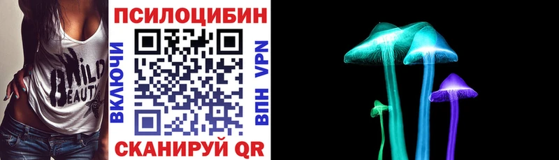 площадка состав  Клин  Галлюциногенные грибы Psilocybe 