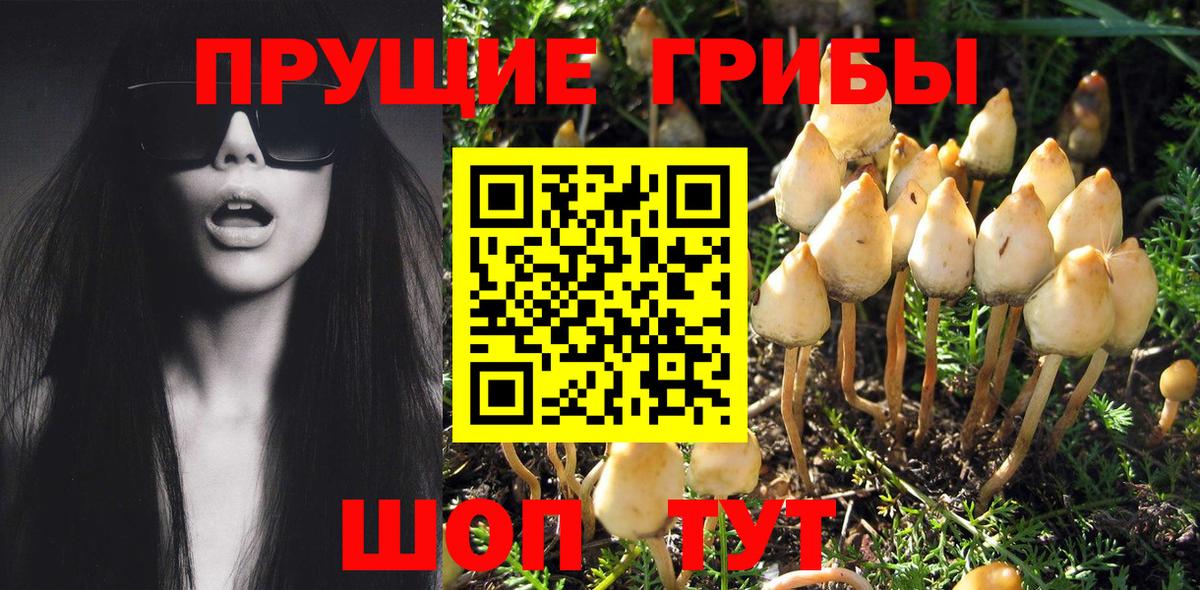 Галлюциногенные грибы мухоморы Клин